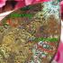 Jaosua Millionaire Jeed Be2556 Green Chanuan Remove Debt Money Thai Amulet 16135
