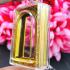 BLANK EMPTY ACRYLIC PLASTIC FRAME CASE THAI AMULET 2IN1 LIMPID+GOLD SOMDEJ 4CM