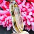 BLANK EMPTY ACRYLIC FRAME CASE THAI AMULET 2IN1 LIMPID+GOLD SEMA 4CM