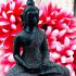 Large Buddha Statue Leklai Dust Meditation Soton Lucky Fortune Lp Somporn #16319