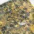 GAMBLING WIN FORTUNE BUDDHA CHICKEN RIDER ASHES THAI AMULET LP SIN BE2563 MIXED MATERIAL BEHIND GEMS