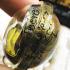 GUMAN EAT FETUS BOY FORTUNE WEALTH MONEY OIL THAI AMULET AC NENAIR BE2558