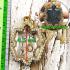 BLANK EMPTY METAL FRAME CASE THAI AMULET GOLD MICRON 24K DIAMOND GEM TURTLE 4.5CM