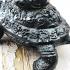 Large 9cm Bronze Statue Meditation Ride Turtle Lp Liew Be2543 Thai Amulet #16482