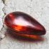 Leklai Naga Eye Magic Healing Protection Stone Teardrop Red Thai Amulet 16574