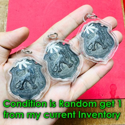 Waterproof Casing 5in1 Tiger Cut Head Victory Win Enemy Chanai Thai Amulet 16586