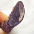 Leklai Naga Eye Healing Stone Lersri Snake Dragon Head Purple Thai Amulet #16640