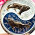 Enamel Yinyang Tiger Cut Head Guardian Protection Chanai Blue Thai Amulet #16723