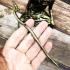 Lersri Hermit Bronze Statue Intelligent Healing Deity Lp Swai Thai Amulet #16744
