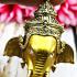 Pikanet Elephant Successful Magic Be2552 Mass Chant WatBangPha Thai Amulet 16756