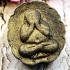 Pidta Close Eye Buddha Lp Dum Be2543 Lucky Survive Protection Thai Amulet #16827