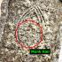KhunPaen Ashes Lp Dum Be2543 Naga Protection Nakpog Souvive Thai Amulet #16832