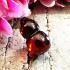 Crystal Healing Cave Stone Naga Eye Leklai Calabash Bottle Red Thai Amulet 16862