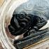Certificate King Boar Pig Change Fortune Future Kalong Be2550 Thai Amulet #16864 +CARD OF AUTHENTIC DDPRA