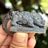 PayaMoo Boar Pig Change Better Fortune Lp Kalong Be2550 Takue Thai Amulet #16877