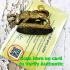 Certificate Bull Anti Ghost Protection Wuatanu Kalong Be2551 Thai Amulet #16878 +CERTIFICATE OF AUTHENTIC CARD DDPRA