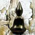 Leklai Meditation Buddha Life Prevent Talisman Be2555 Lp Huan Thai Amulet #16929