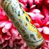 Nmp Queen Lust Love Nammanplai Oil Charming Attraction Be2553 Thai Amulet #16952
