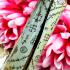 Nmp Queen Lust Love Nammanplai Oil Charming Attraction Be2553 Thai Amulet #16952