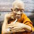 Large Lifelike Wax Art Monk Statue lp Koon Watbanrai Smoking Thai Amulet #16977