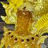 Buddha Statue Prevent Gold Naga Nakpog Cobra 7head Coiled Base Thai Amulet 17045