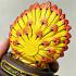 Fine Art Pidta Buddha Closed Eye Kb Ariyachat Peacock Yellow Thai Amulet #17062