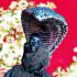 Tuad Statue Leklai Dust Rainbow Immortal Cobra Shield Somporn Thai Amulet #17091