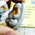 Certificate Lucky Money Gambling Pidta Closed Eye Koon Be2538 Thai Amulet #17103