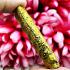 Takrut Palak Gold Charming Magic Mercy Lust Love Kalong Be2550 Thai Amulet 17154