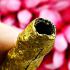Takrut Palak Gold Charming Magic Mercy Lust Love Kalong Be2550 Thai Amulet 17154