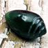 Leklai Naga Eye River Cave Powerful Healing Wealth Shell Green Thai Amulet 17164