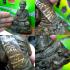 MINIATURE MEDITATION MONK STATUE HANUMAN DOUBLE MONKEY BASE LP AUNT THAI AMULET