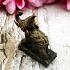 POWERFUL SACRED ELEPHANT LP KALONG AMULET THAI TALISMAN REAL