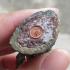 Wessuwan Ghost Slayer First Batch Fortune Lp Kalong Nawa Be2549 Thai Amulet #17175