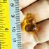 Crystal Healing Stone Naga Eye Leklai NamTow Bottle Yellow Thai Amulet #17189