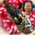 Leklai Kaew 3in1 Bullet Gold Silver Immortal Survive Somporn Thai Amulet #17197