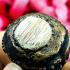 Payak Tiger Long Saber Tooth Hair Protection Lp Kalong Be2549 Thai Amulet #17199