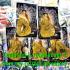 Lersri Tiger Face Puseir SaMingPlai Protect Lp Kalong Be2552 Thai Amulet #17200