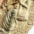 Growth Business Walk Sivali Success Rich Fortune Kalong Be2552 Thai Amulet 17202