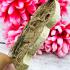 Growth Business Walk Sivali Success Rich Fortune Kalong Be2552 Thai Amulet 17202