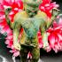 Ancient Khmer Magic Dvaravati Standing Buddha 4hand Green Bronze Statue #17223
