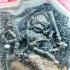 Monkey Hanuman 8Hand Fortune Protection Victory Kalong Be2552 Thai Amulet #17224