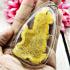Certificate Walking Lersri Growthful Leather Lp Kalong Be2552 Thai Amulet #17240