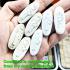 Sivali Walking Wealth Rich Behind Wheel Seal Lp Doo Watsakae Thai Amulet #17299