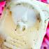 HinPhraTad SamRoiYod Somdej Buddha Relic Dot Stone Protection Thai Amulet #17307