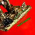 Hunpayon Bison Woatanu Minotaur Guard Protection Ngern Be2565 Thai Amulet #17318