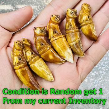 Unique Old Fang Tooth Carve Tiger Powerful Protection Lp Pern Thai Amulet #17351