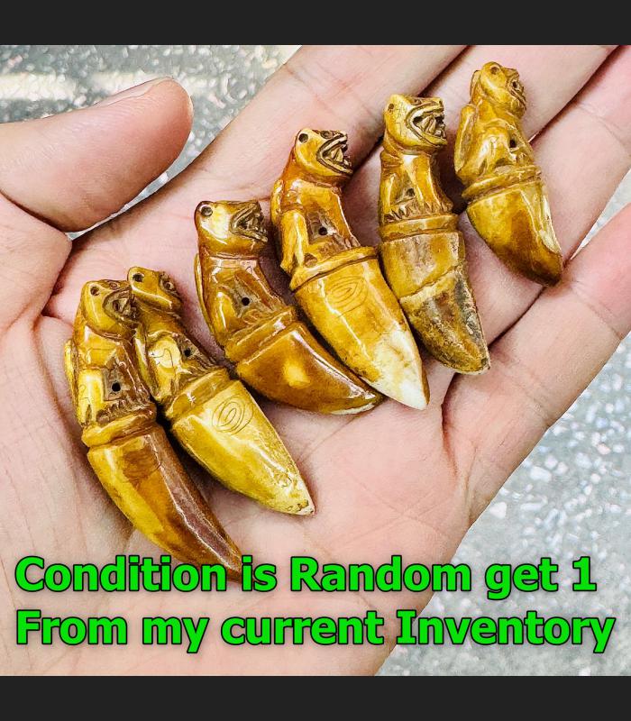 Unique Old Fang Tooth Carve Tiger Powerful Protection Lp Pern Thai Amulet #17351