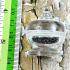 Mix Sarira Relic Holy Sacred Nature Crystal Bead Stupa Rainbow Thai Amulet 17354