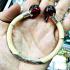 Bracelet Naga Eye Leklai Healing Stone Elephant Tail Silver Thai Amulet #17360